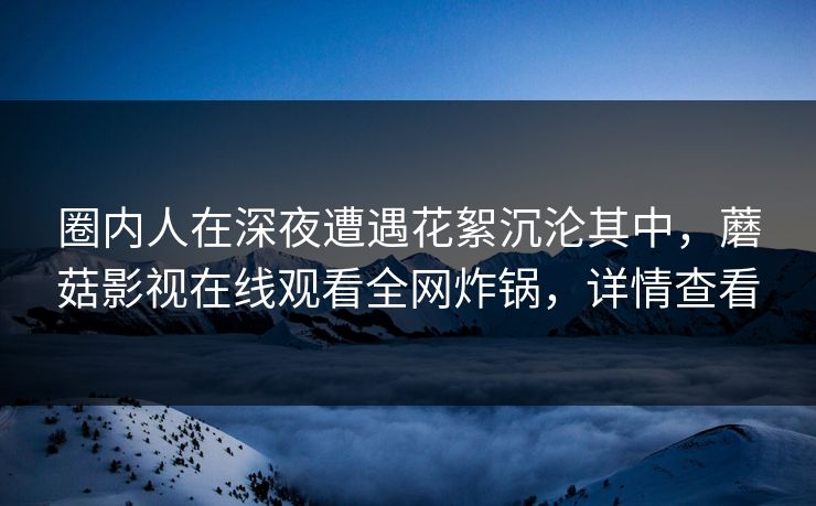 圈内人在深夜遭遇花絮沉沦其中，蘑菇影视在线观看全网炸锅，详情查看