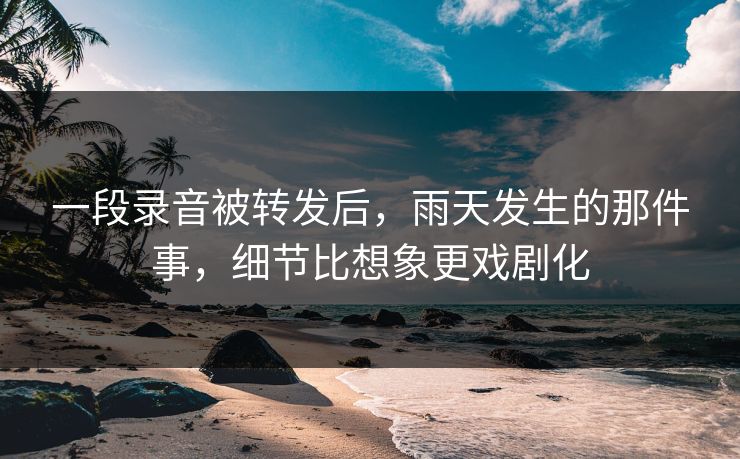 一段录音被转发后,雨天发生的那件事,细节比想象更戏剧化 一段录音被转发后,雨天发生的那件事,细节比想象更戏剧化